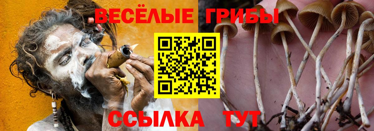 Галлюциногенные грибы MAGIC MUSHROOMS Нижний Тагил