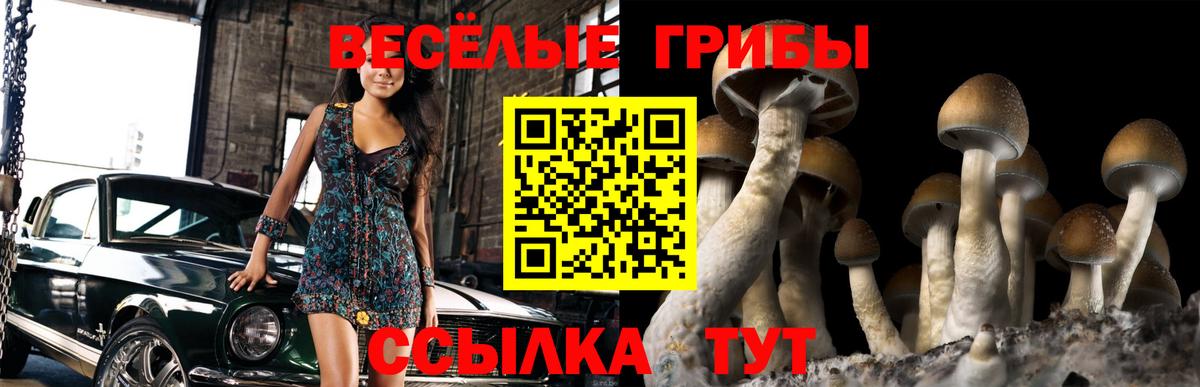 Нижний Тагил  Галлюциногенные грибы ЛСД  купить закладку  Вход с VPN 